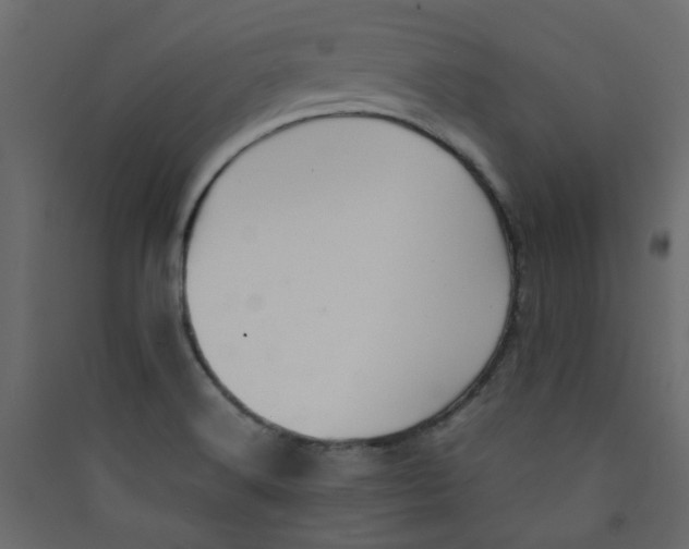 X0000089461516200707131937