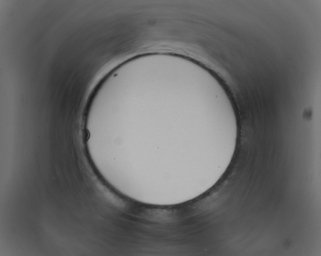 X0000089461517200707131937