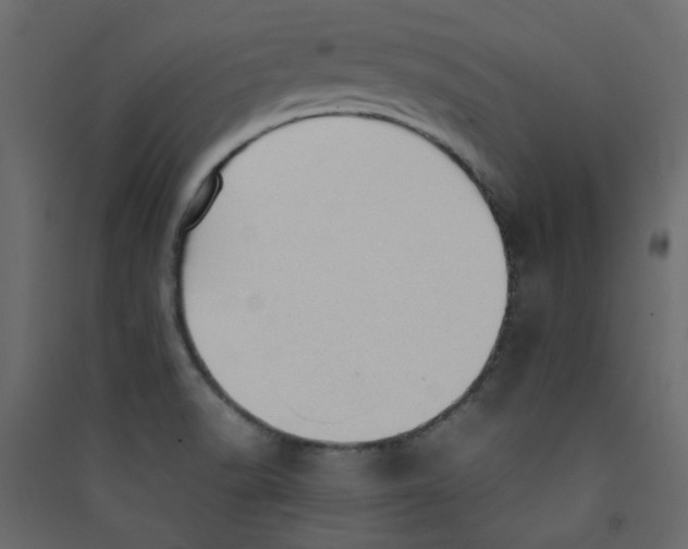 X0000089461518200707131937