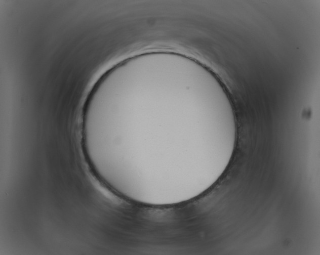 X0000089461519200707131937