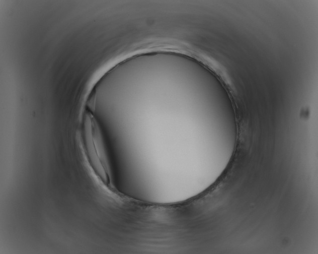 X0000089461520200707131937
