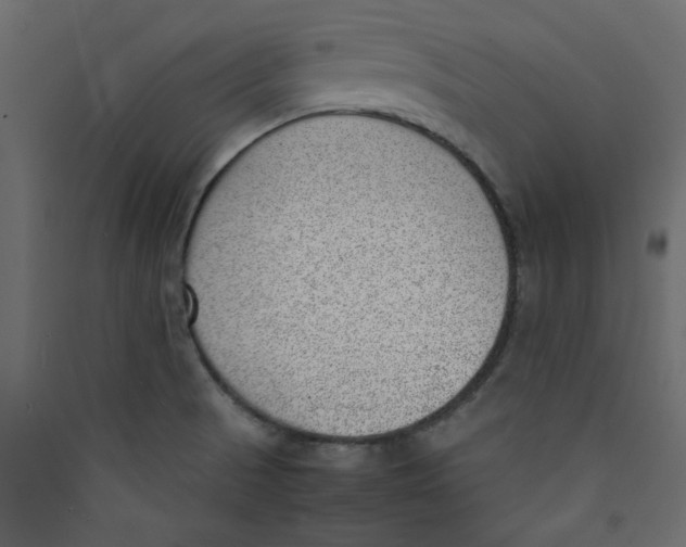 X0000089461521200707131937