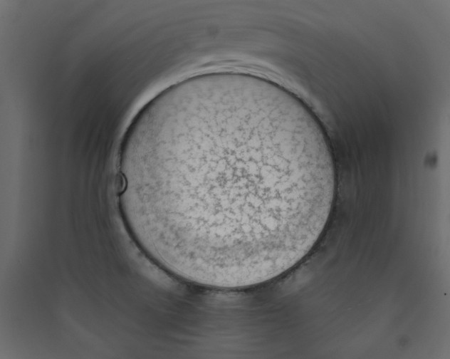 X0000089461522200707131937