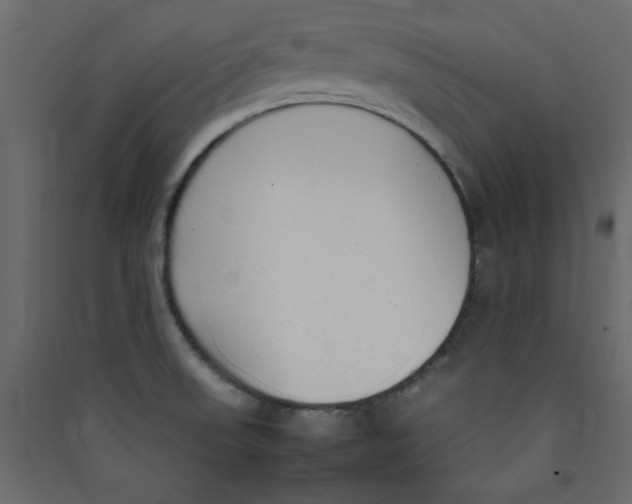 X0000089461523200707131937