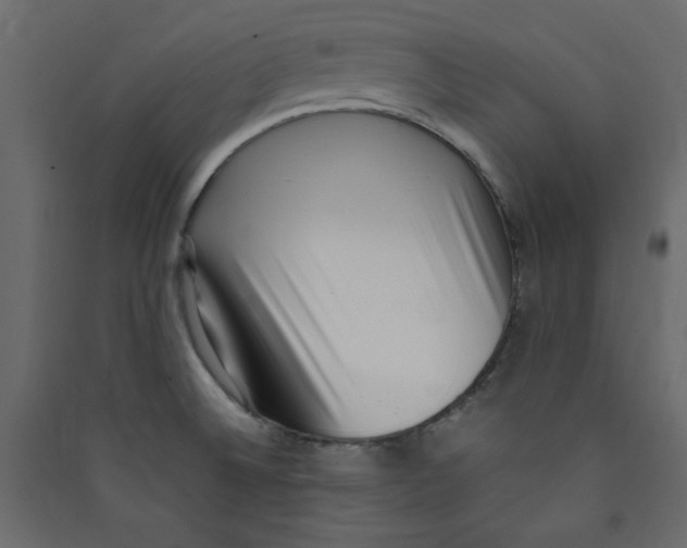 X0000089461524200707131937