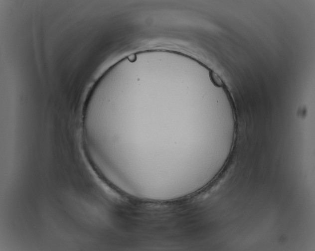 X0000089461525200707131937
