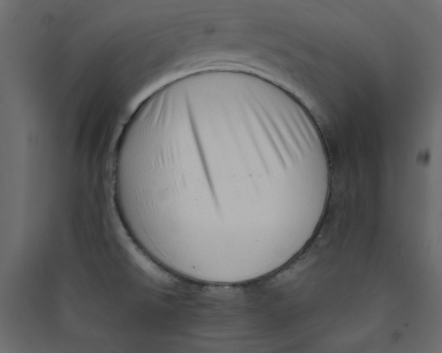 X0000089461526200707131937