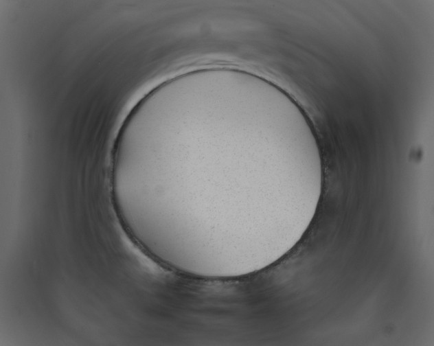 X0000089461527200707131937