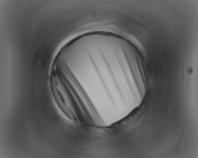 X0000089461528200707131937