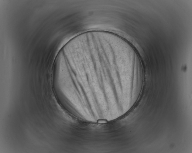 X0000089461529200707131937