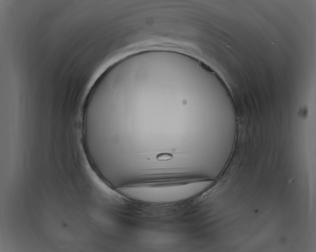X0000089461531200707131937