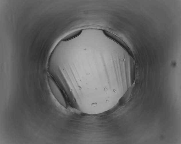 X0000089461532200707131937