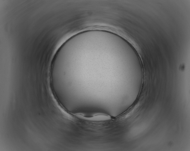 X0000089461533200707131937
