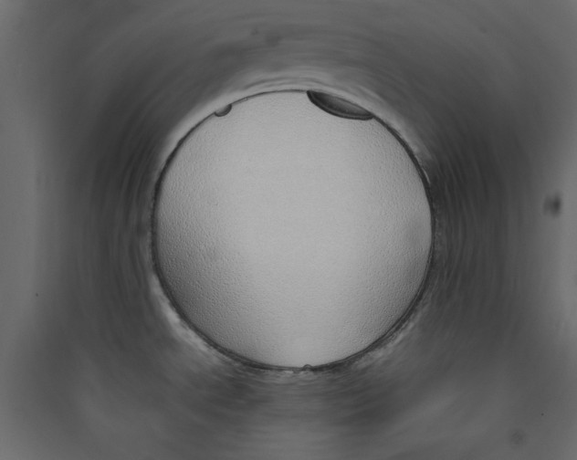 X0000089461534200707131937