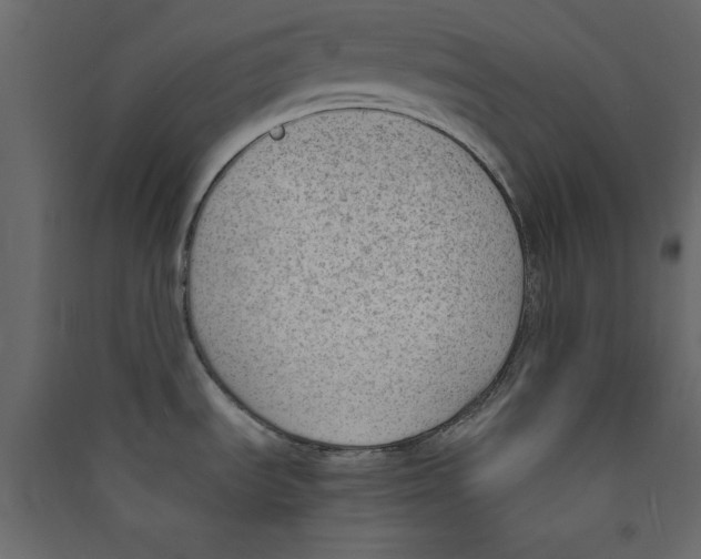 X0000089461535200707131937