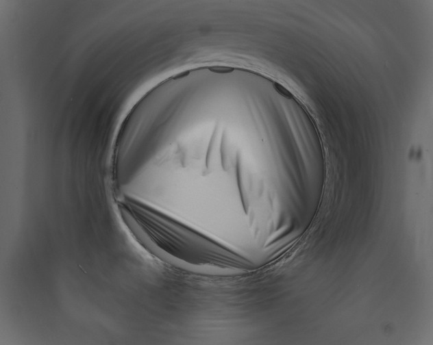 X0000089461536200707131937