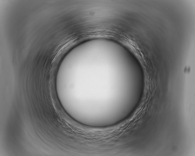 X0000089660001200706210741
