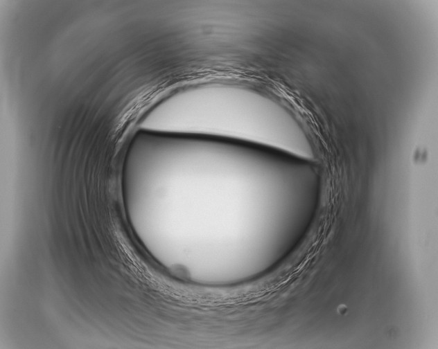 X0000089660002200706210741