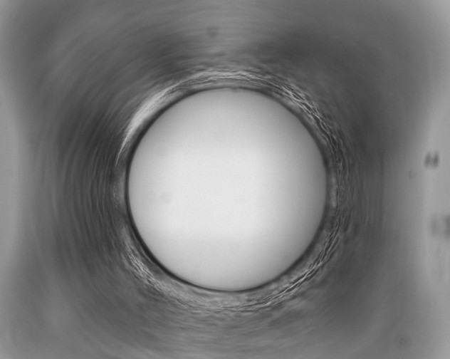 X0000089660004200706210740