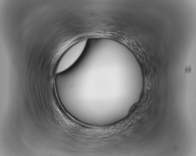 X0000089660005200706210740