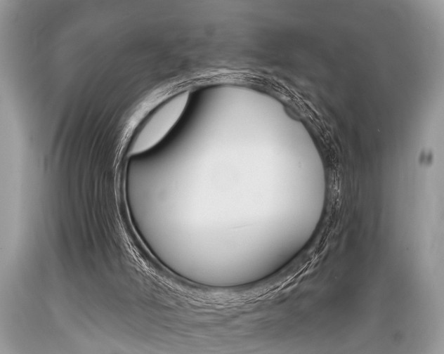 X0000089660006200706210740