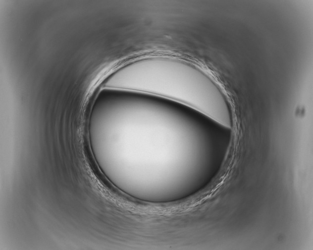 X0000089660007200706210740