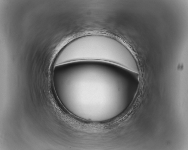 X0000089660008200706210740