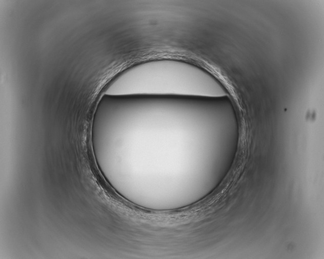 X0000089660010200706210740