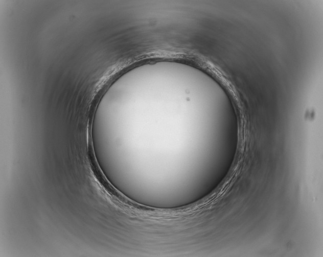 X0000089660011200706210740