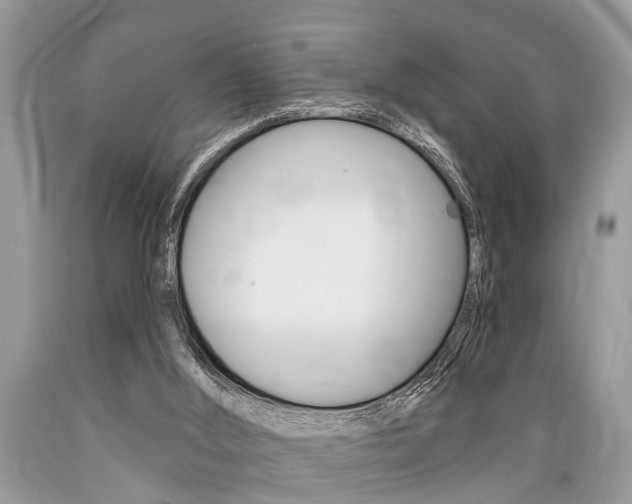 X0000089660012200706210740