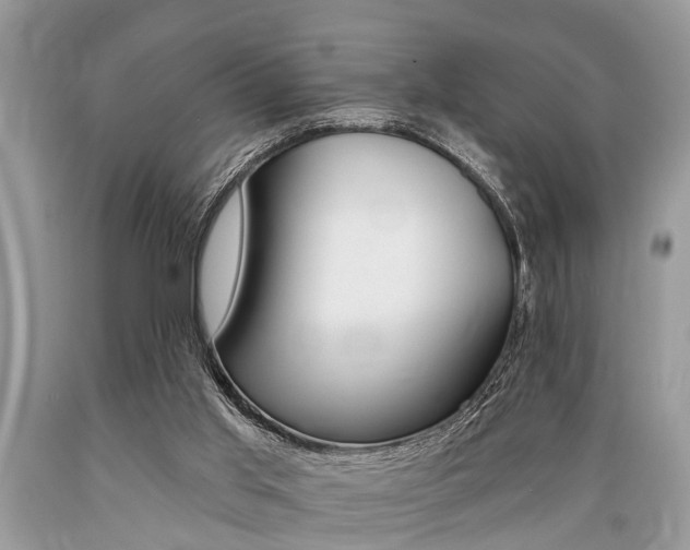 X0000089660013200706210740