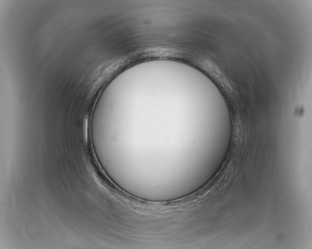 X0000089660014200706210740
