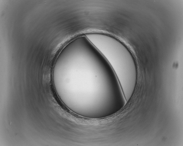 X0000089660015200706210740