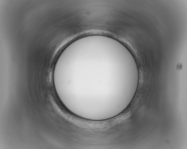 X0000089660016200706210740