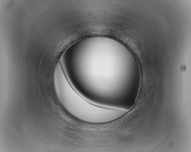 X0000089660017200706210740
