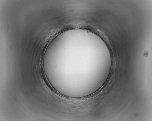 X0000089660018200706210740