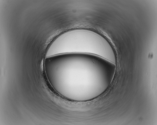 X0000089660019200706210740