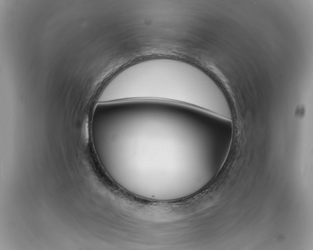 X0000089660020200706210740