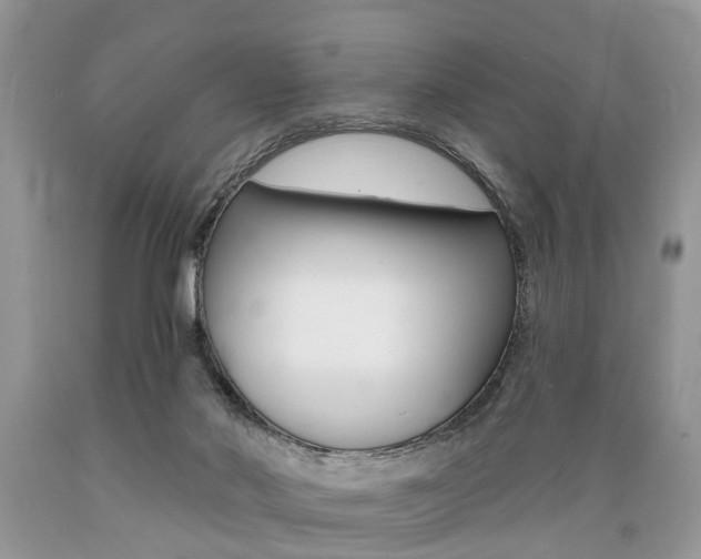 X0000089660022200706210740