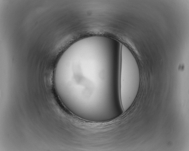 X0000089660023200706210740