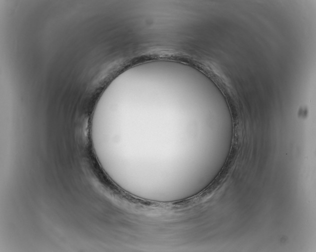 X0000089660024200706210740