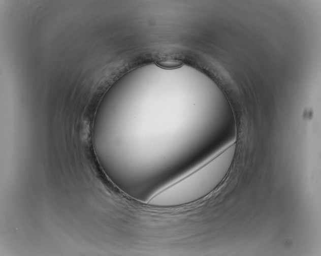 X0000089660025200706210740
