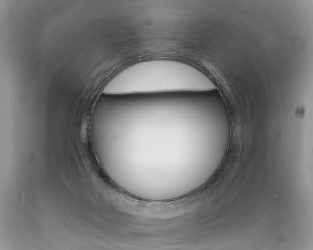 X0000089660026200706210740