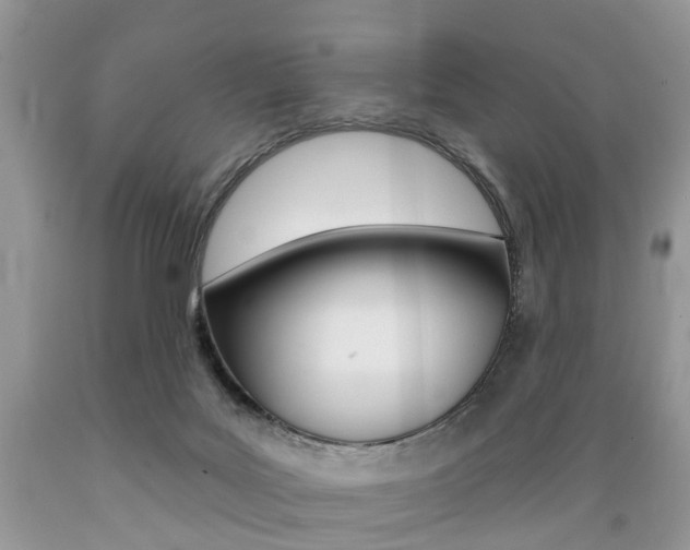 X0000089660027200706210740