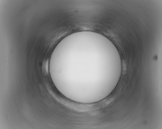 X0000089660028200706210740