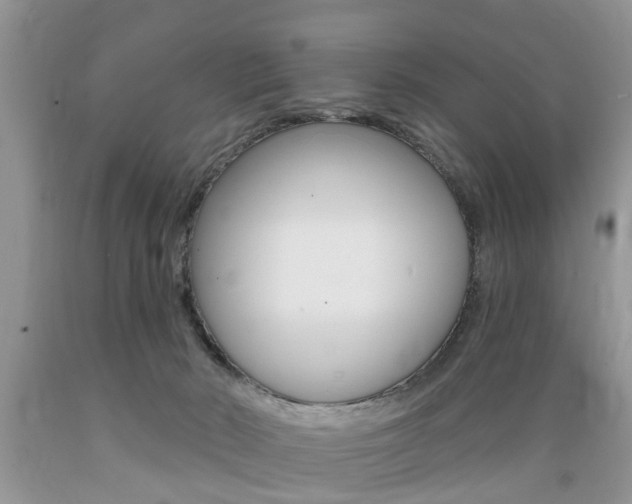 X0000089660030200706210740