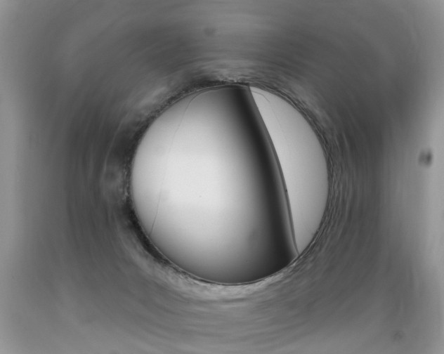 X0000089660031200706210740