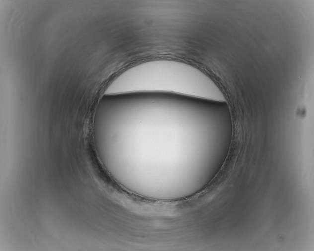 X0000089660032200706210740