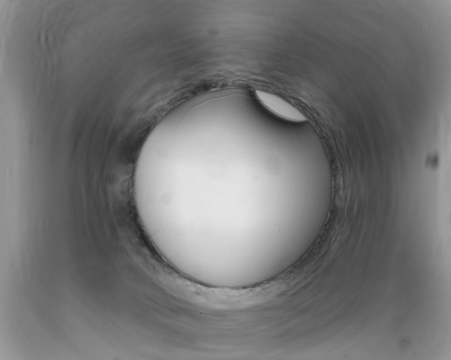 X0000089660034200706210740