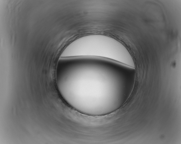 X0000089660035200706210740